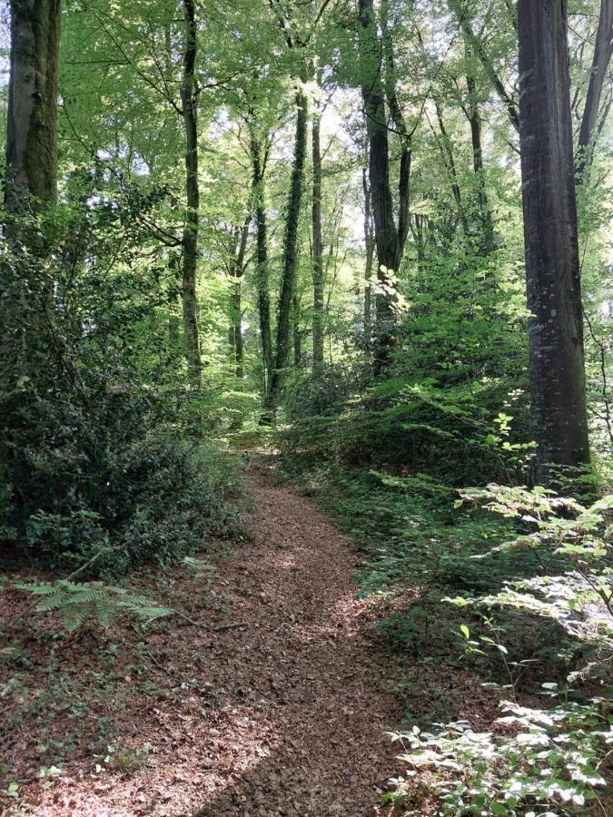 Gite De La Motte Litteau エクステリア 写真